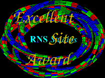 RNS Studios Site Award